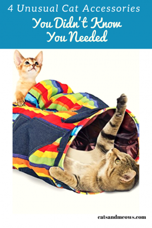 4 Unusual Cat Accessories You Didn't Know You Needed - Cats and Meows